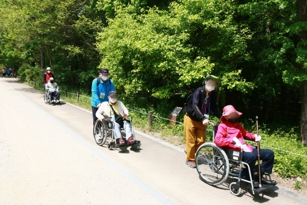 휠체어를 탄 장애가족과 봉사가족, 근무가족들이 일렬로 걸으며 수목원을 산책하고 있는 모습의 사진