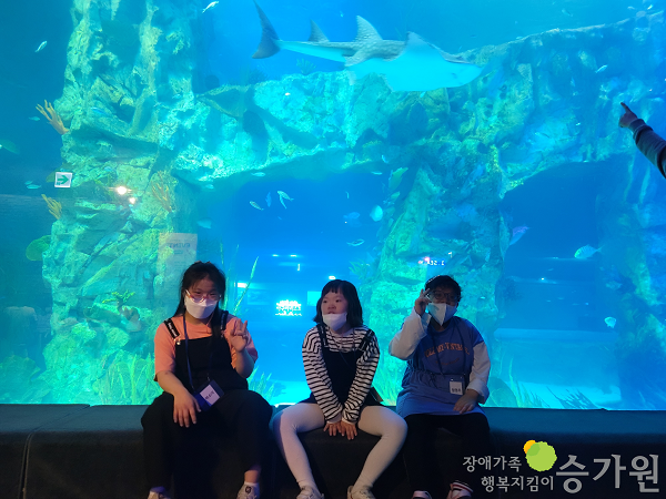 다양한 물고기들이 보이는 대형 유리수조 앞에서 여자 장애아동 3명이 앉아서 사진을 찍고 있다. / 오른쪽 하단에 장애가족행복지킴이 승가원CI가 있다